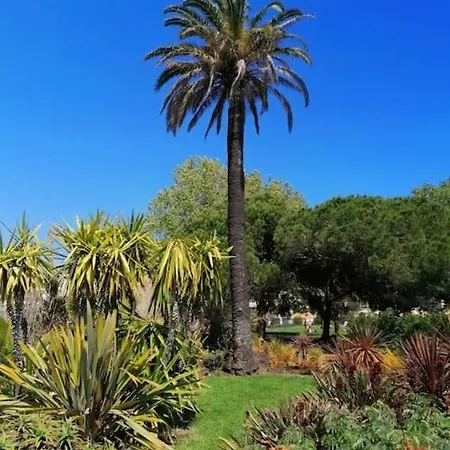 Apartment Renove A Antibes, A 10 Min A Pied Antibes